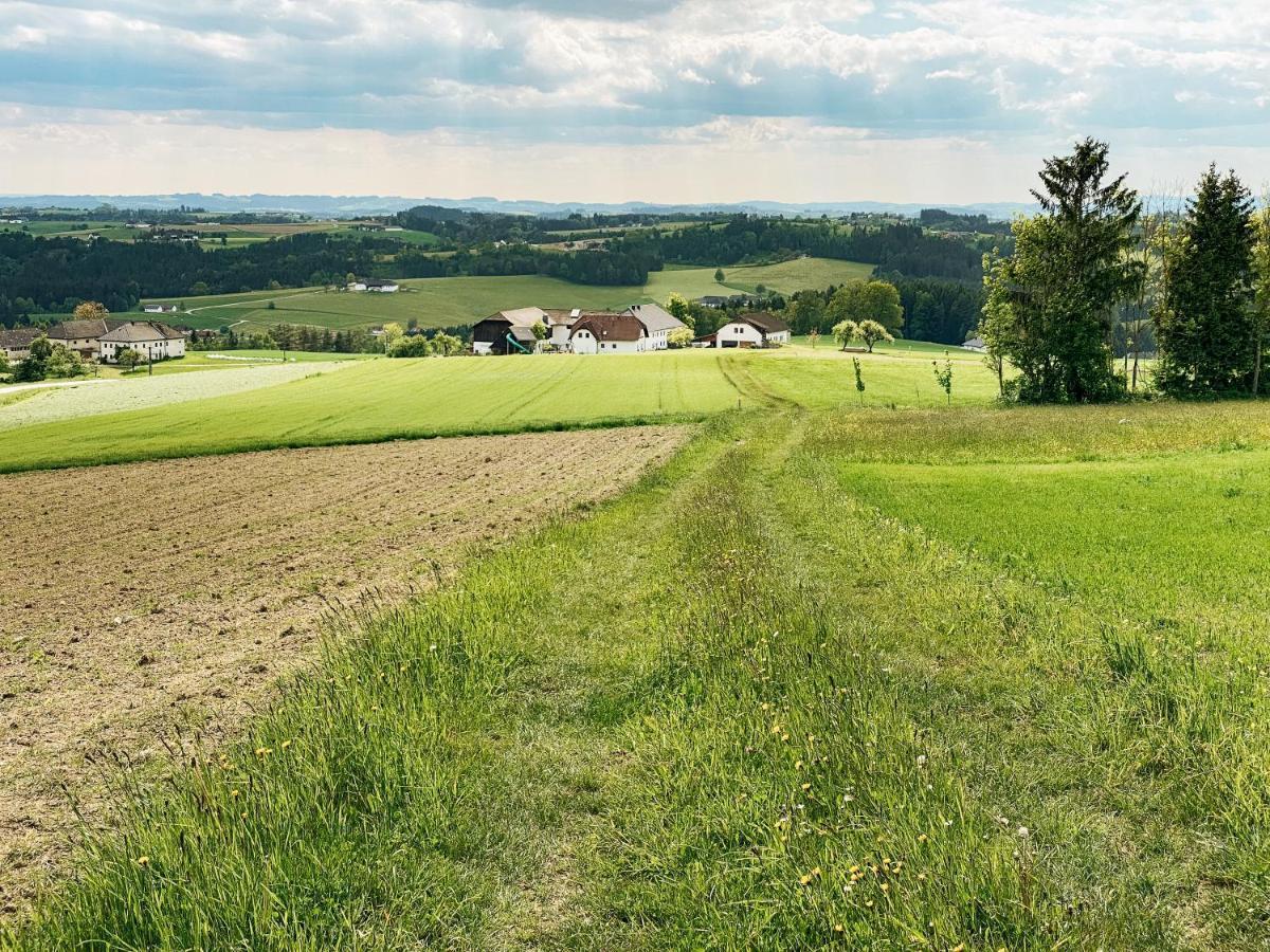 Niederwaldkirchen Grainmeisterhof מראה חיצוני תמונה